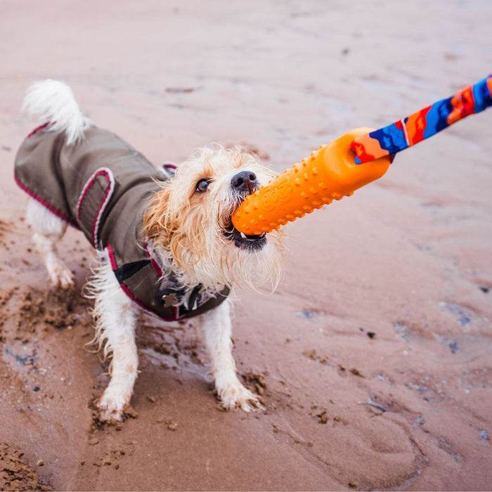 BOB: The 3-in-1 Dog Dummy